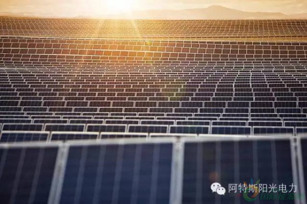 阿特斯組件成功應用于荷蘭最大光伏電站