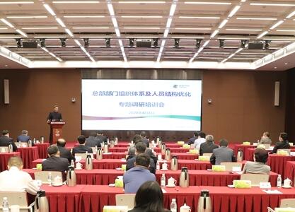 國家電投總部部門組織體系及人員結(jié)構(gòu)優(yōu)化