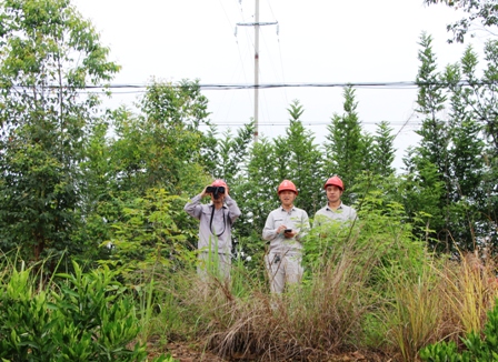 國網(wǎng)江永縣供電公司:負(fù)責(zé)人帶隊巡線，精施策護網(wǎng)保電