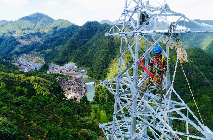 國網壽寧縣供電公司:“定制茶園”里的脫貧密碼