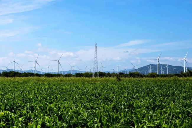 收購墨西哥818MW光伏電站，國家電投境外光伏電站裝機超6GW