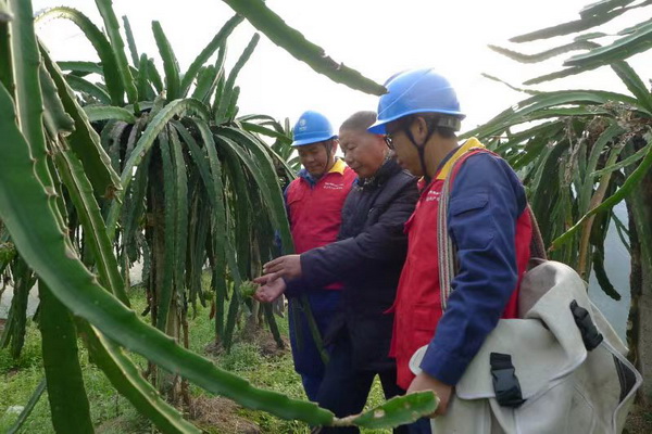 國網(wǎng)寧海縣供電公司：“電力紅馬甲”護航，退役軍人鄉(xiāng)村創(chuàng)業(yè)“紅如火”