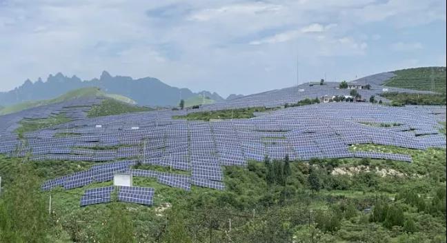 少長一棵草，多發(fā)一度電，助力碳中和