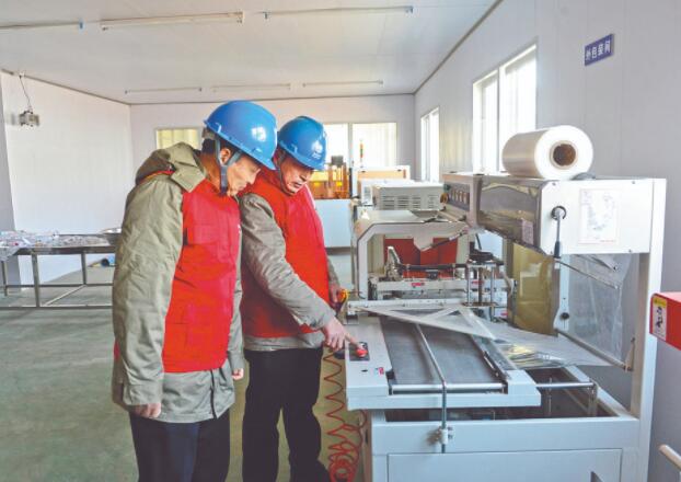 濱?？h供電公司：白首烏產(chǎn)業(yè)發(fā)展充上“滿格電”