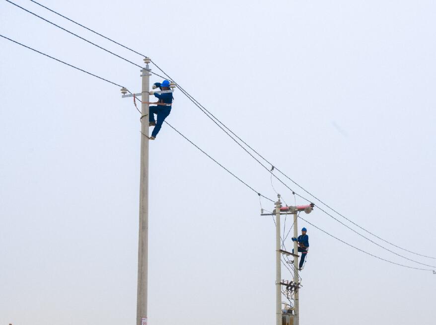 阿拉善供電公司：電網(wǎng)健康“體檢”，從登桿開始