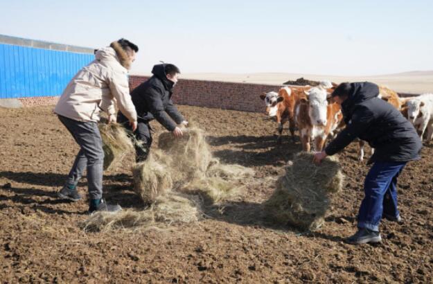 錫林郭勒超高壓供電公司:民族團(tuán)結(jié)一家親 志愿服務(wù)進(jìn)牧區(qū)