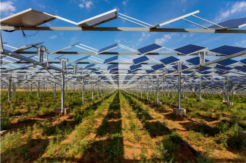 光伏治沙+風(fēng)光大基地，寧夏“走出”生態(tài)保護和高質(zhì)量發(fā)展新道路