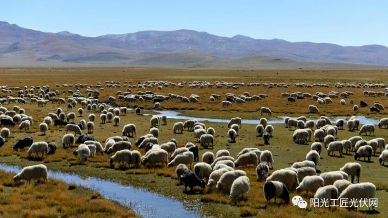 面積接近一個(gè)新加坡！青海塔拉灘光伏電站照亮“陽(yáng)光之路”