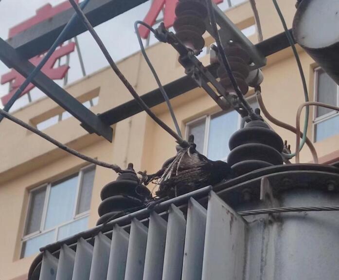 呼和浩特金川供電分公司:變壓器故障 供電人員及時搶修保供電