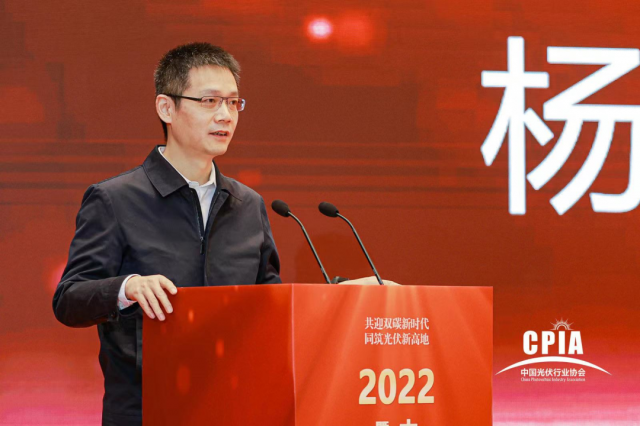 工信部楊旭東:推動光伏與新型儲能電池協(xié)同發(fā)展應(yīng)用