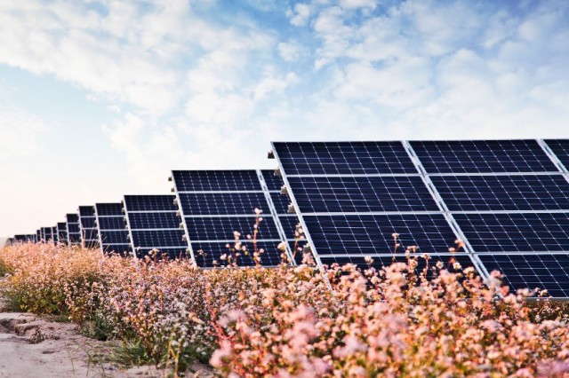 華能“嘗鮮”，攜隆基綠能打造高性價比光伏電站