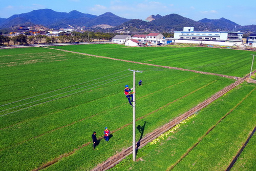 國(guó)網(wǎng)寧波市海曙區(qū)供電公司:春耕忙 電力足 萬(wàn)物生長(zhǎng)正當(dāng)時(shí)