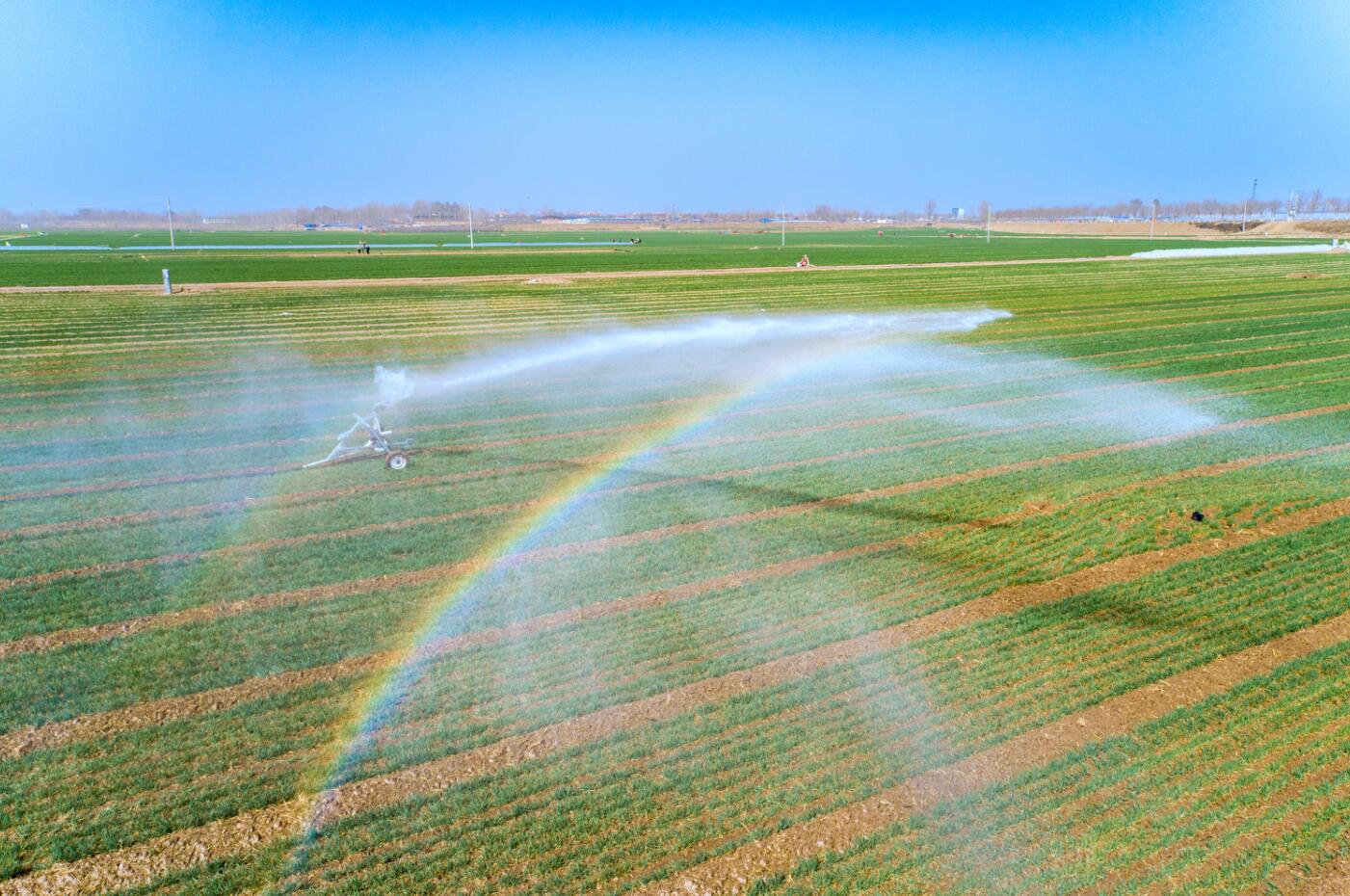 河南滑縣:彩霞撒大地 甘泉潤(rùn)麥田