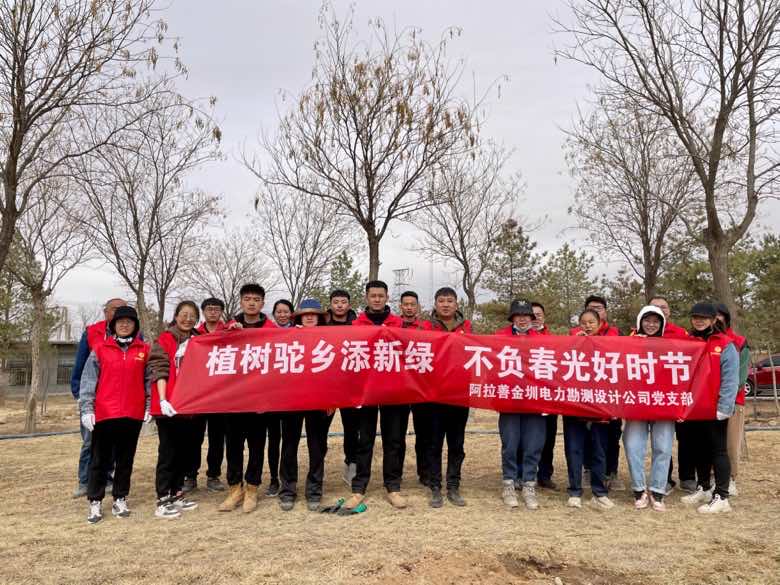 阿拉善金圳電力設(shè)計公司:植樹駝鄉(xiāng)添新綠 不負(fù)春光好時節(jié)
