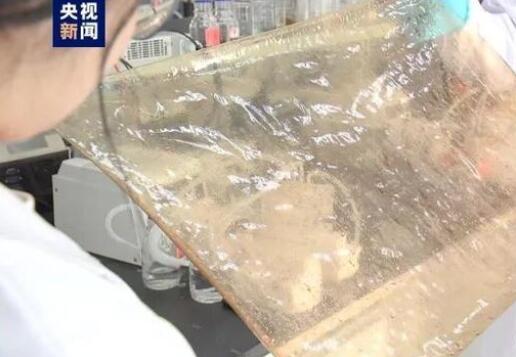 國產(chǎn)新型離子膜問世，有望在新能源的儲能領域廣泛應用