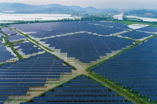 水上發(fā)電，水下養(yǎng)魚!黃石“漁光互補(bǔ)”綠色興農(nóng)