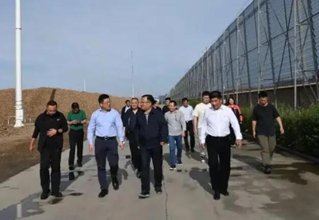 內(nèi)蒙古專項(xiàng)督查組蒞臨龍基生物質(zhì)熱電項(xiàng)目考察，助力鄉(xiāng)村振興發(fā)展