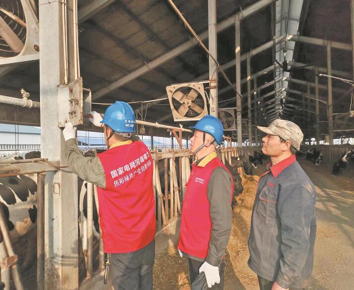 河南蘭考縣:義務(wù)為養(yǎng)牛場(chǎng)解決用電問題