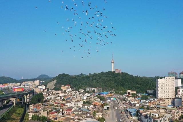 日“吞”垃圾500噸，年“吐”電能超億度!清鎮(zhèn)市首個(gè)生活垃圾焚燒發(fā)電項(xiàng)目并網(wǎng)發(fā)電