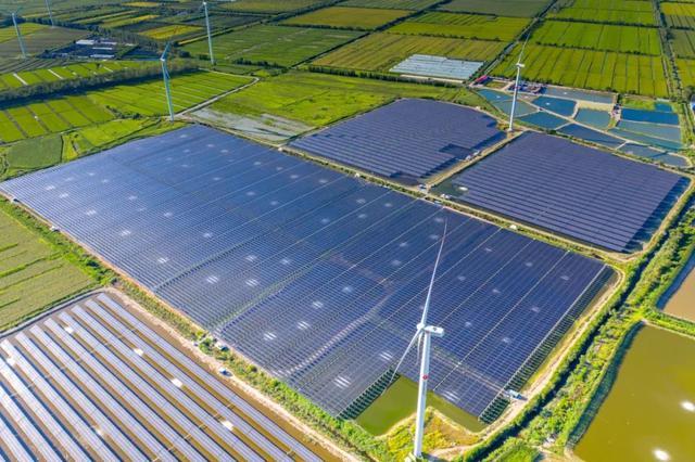 中國(guó)“雙碳”之路，要怎么走?