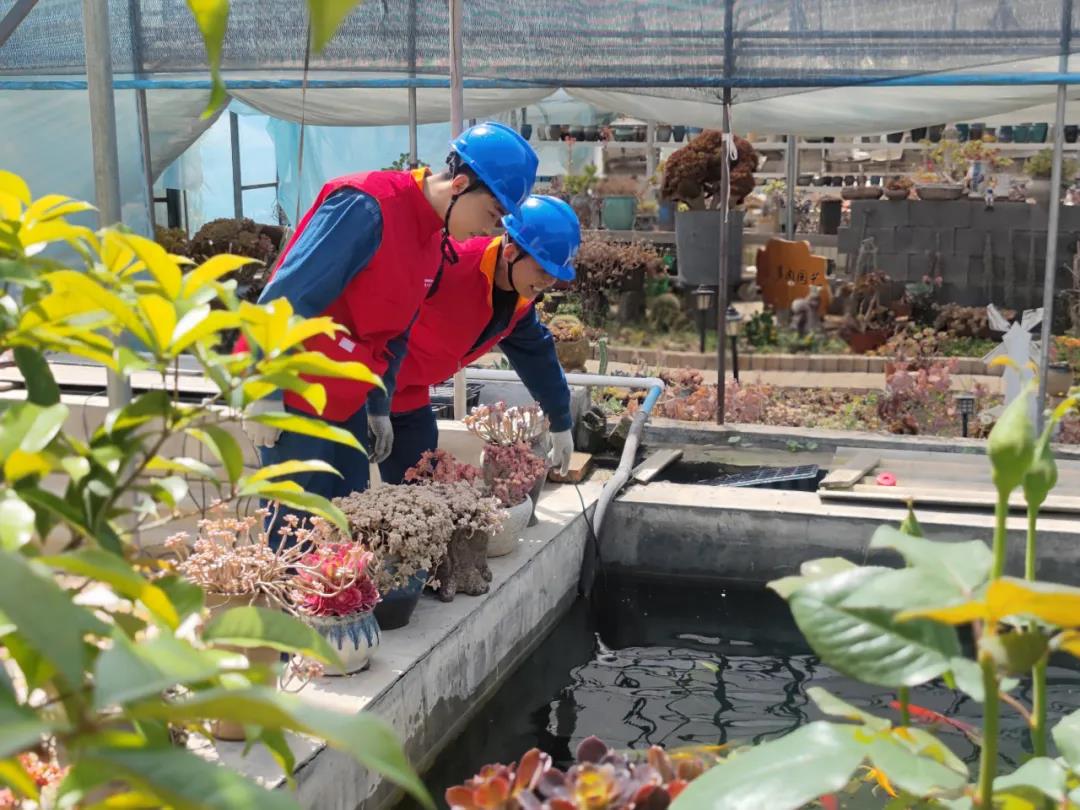 國網(wǎng)寶雞供電公司:電力賦能文旅熱 供電服務(wù)促振興