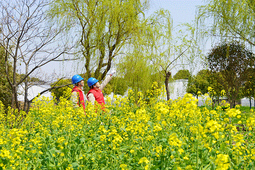 國網(wǎng)太倉市供電公司：電力賦能農(nóng)文旅，五一出游“零碳”行