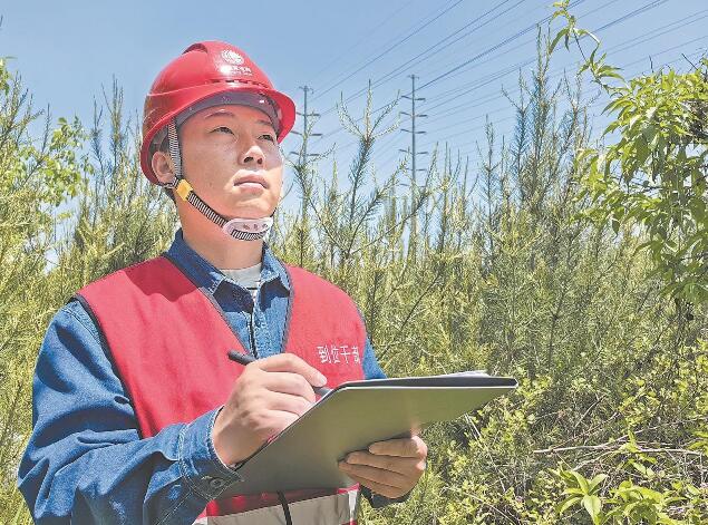 【國網(wǎng)工匠】李文群:勤鉆技術(shù) 銳意創(chuàng)新