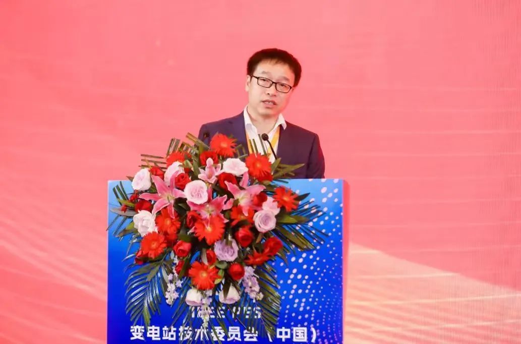 中國(guó)電氣裝備代表當(dāng)選國(guó)際電工委員會(huì)(IEC )TC