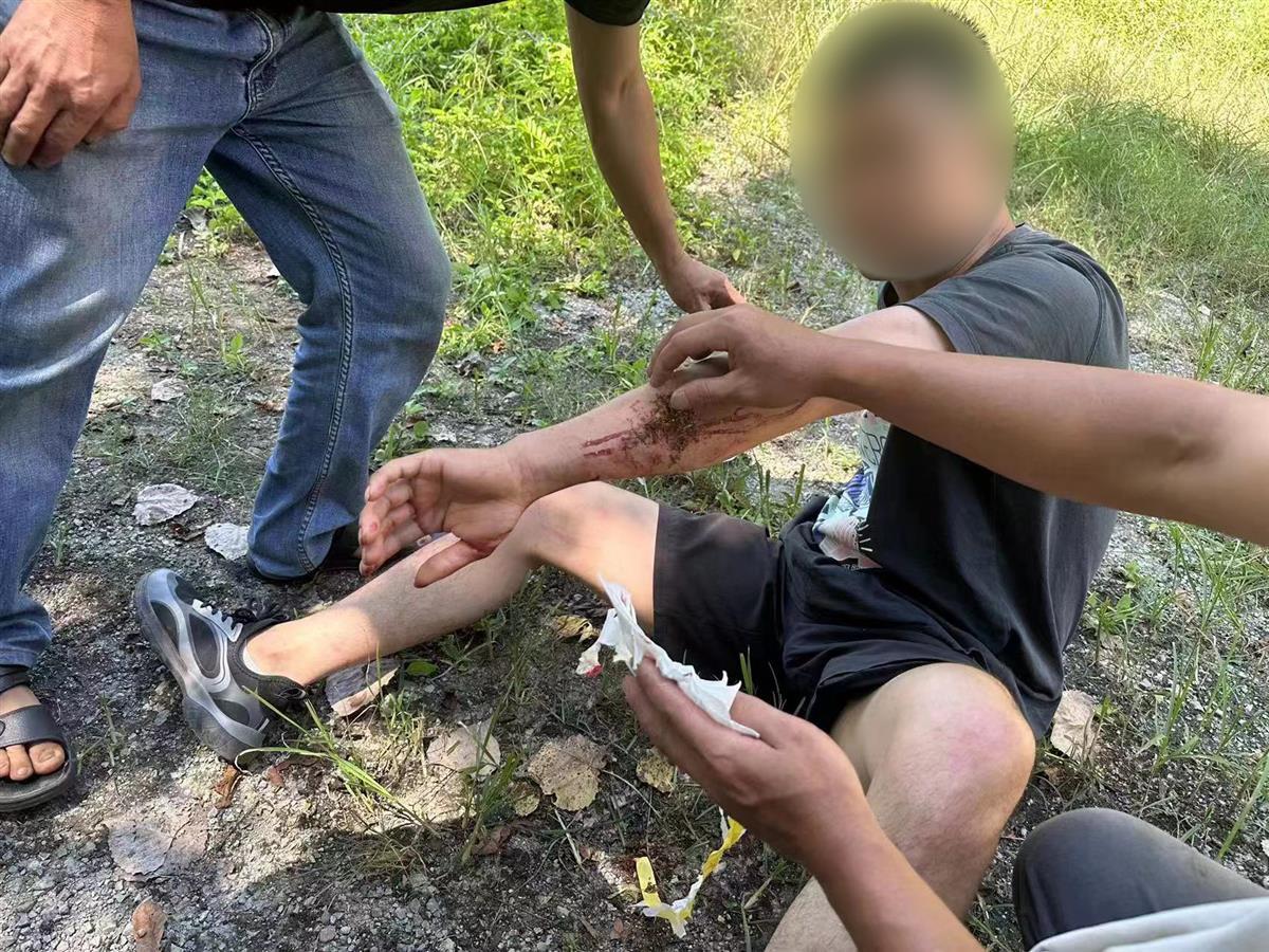 男子私設(shè)電網(wǎng)30余米，沒捕獲獵物卻電傷路人被刑拘