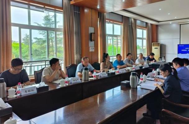 “氫”裝上陣，自貢市加快推動氫能全產(chǎn)業(yè)鏈發(fā)展