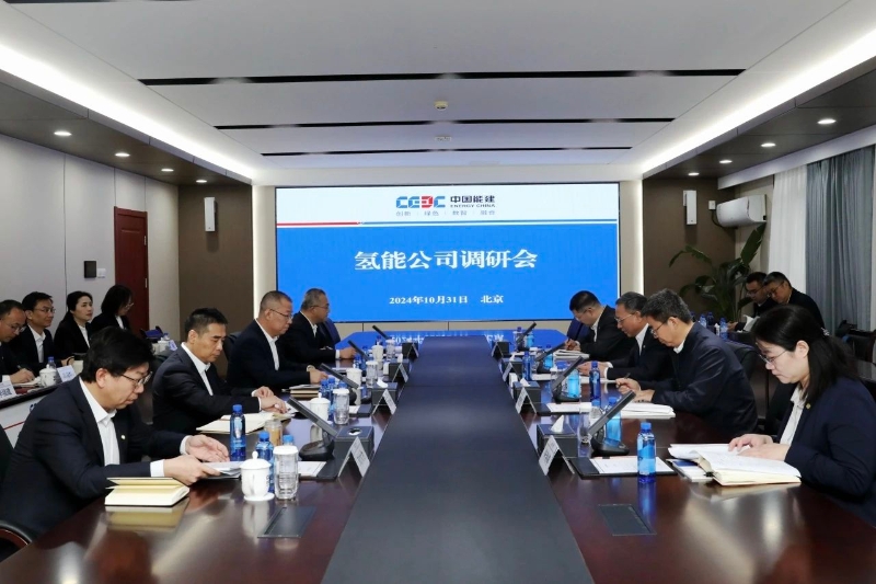 中國能建黨委副書記、總經理倪真到氫能公司調研