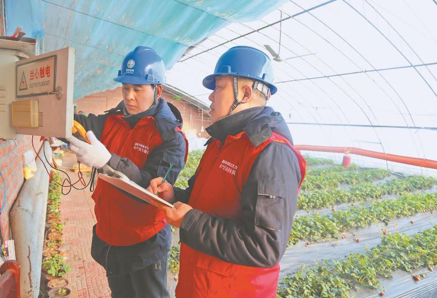 黑龍江省佳木斯“24小時在線”服務(wù)助果蔬及時