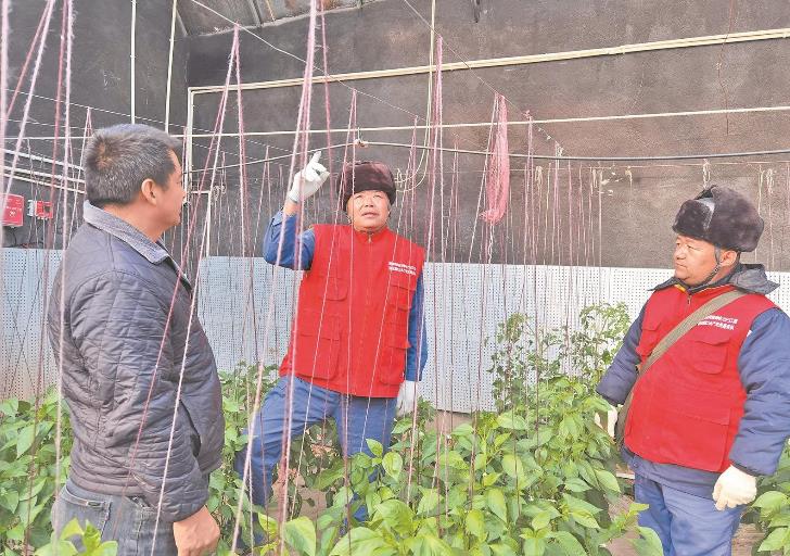 青海循化撒拉族自治縣大棚變智能，果蔬產(chǎn)量增