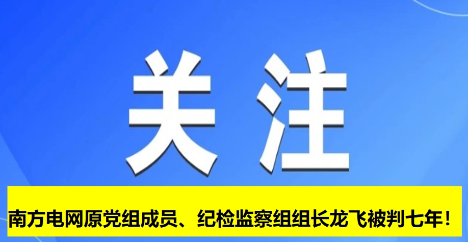 南方電網(wǎng)原黨組成員、紀(jì)檢監(jiān)察組組長(zhǎng)龍飛被判