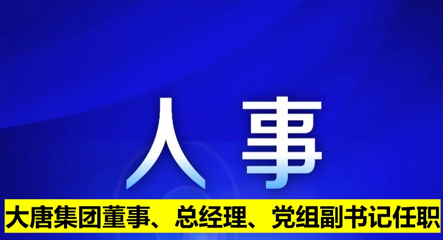 大唐集團(tuán)董事、總經(jīng)理、黨組副書記任職